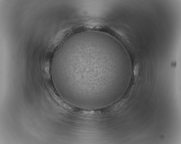 X0000111791396200907301134