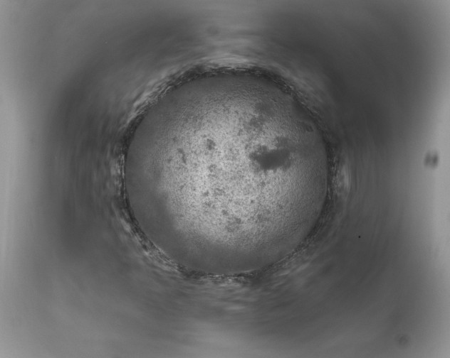 X0000111791397200907301134