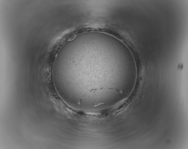 X0000111791398200907301134