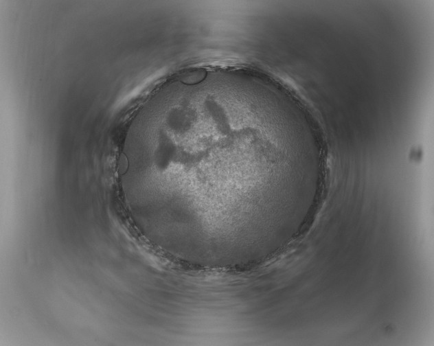 X0000111791399200907301134