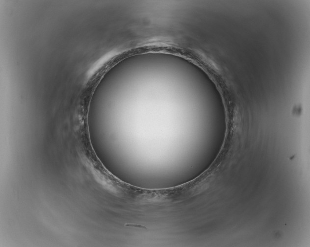 X0000111791400200907301134