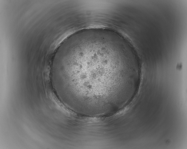 X0000111791401200907301134