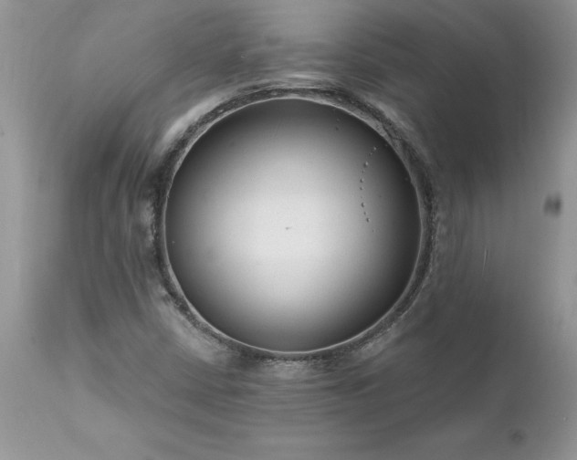 X0000111791402200907301134