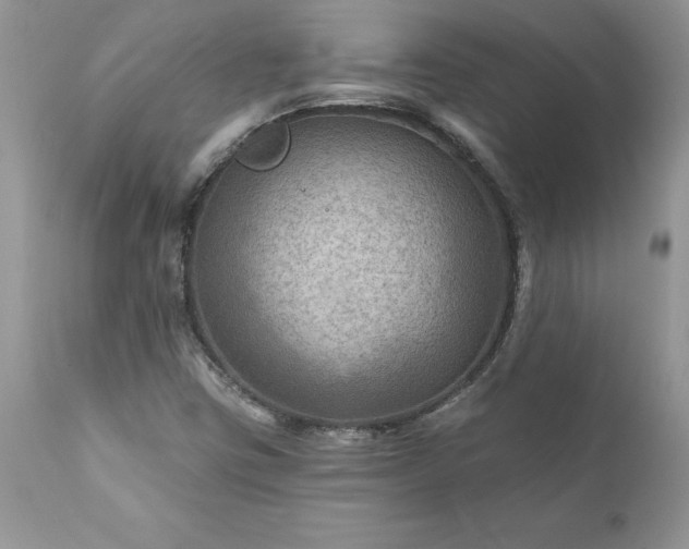 X0000111791403200907301134