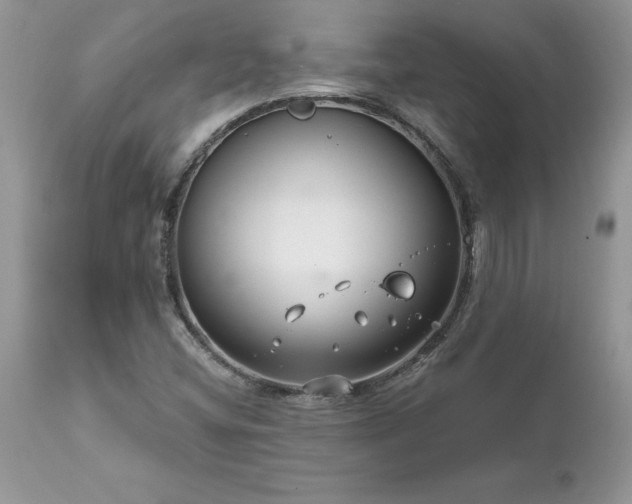 X0000111791404200907301134