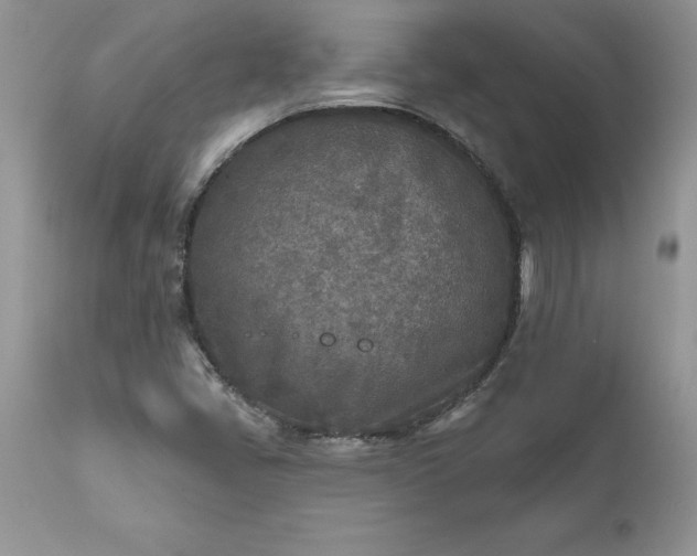 X0000111791405200907301134