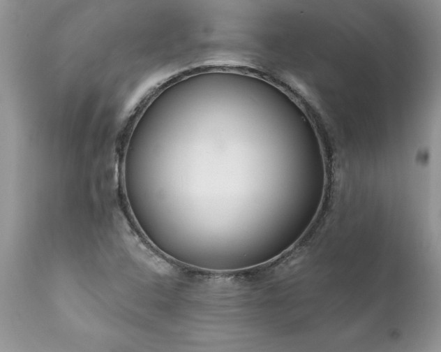 X0000111791408200907301134