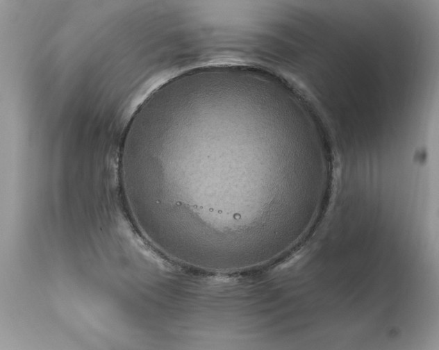 X0000111791409200907301134