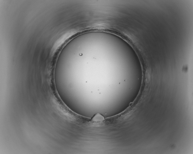 X0000111791410200907301134