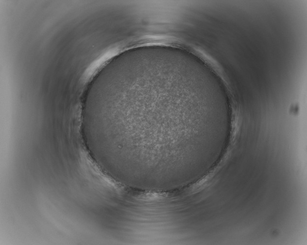 X0000111791411200907301134