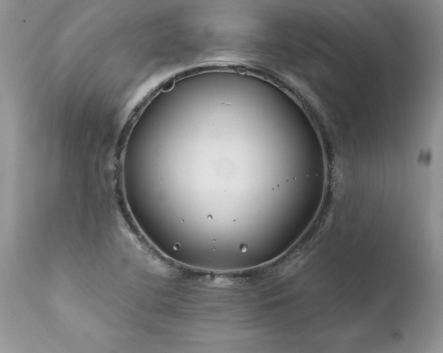 X0000111791412200907301134