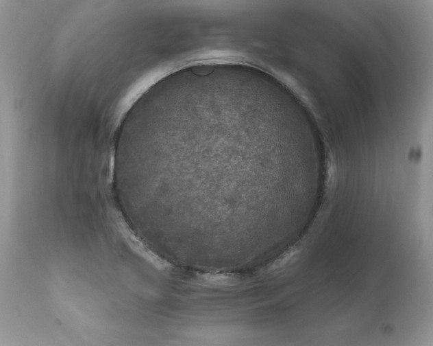 X0000111791413200907301134