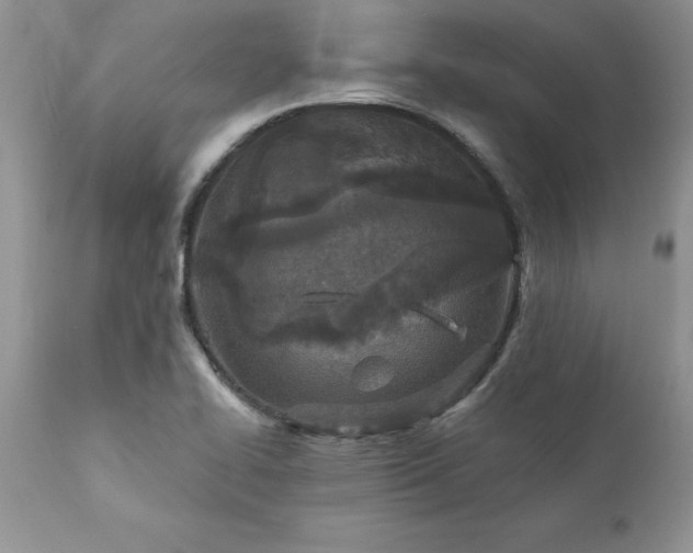 X0000111791414200907301134