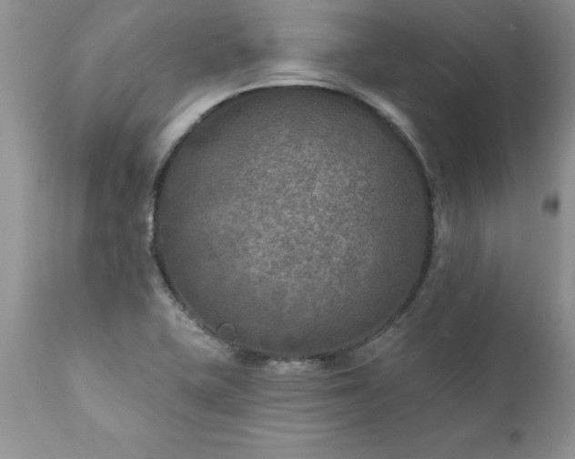 X0000111791415200907301134