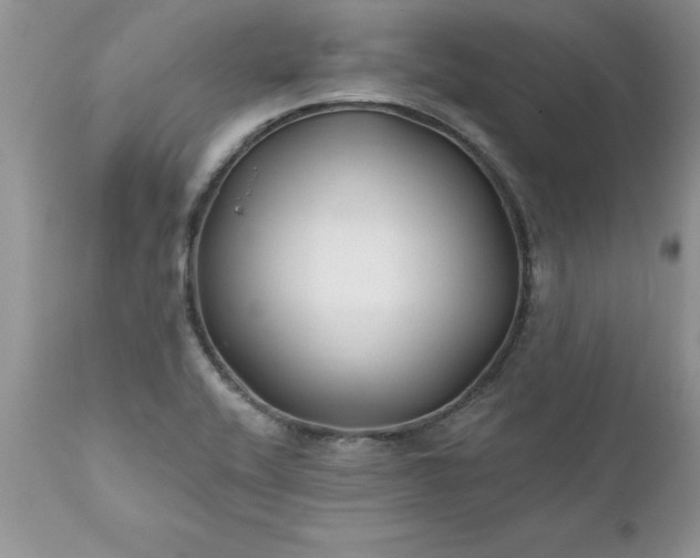 X0000111791416200907301134