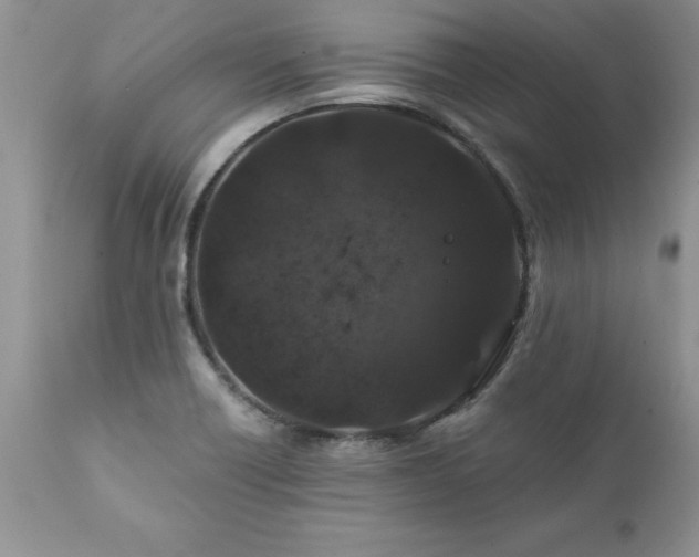 X0000111791418200907301134