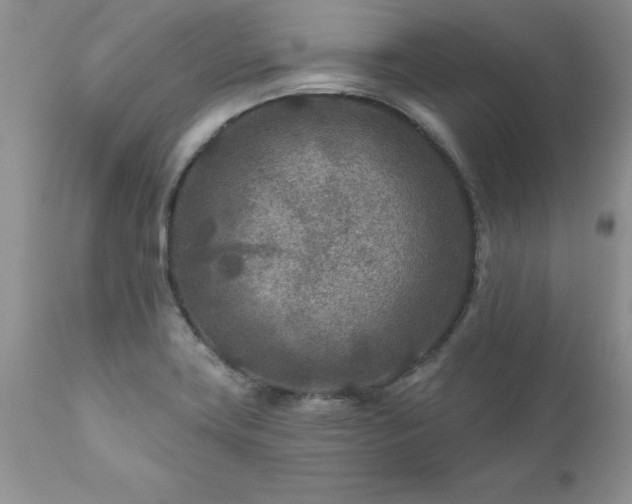 X0000111791419200907301134