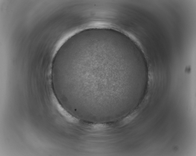 X0000111791421200907301134