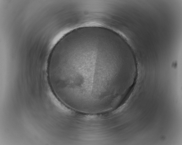 X0000111791422200907301134