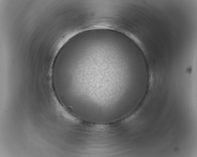 X0000111791423200907301134