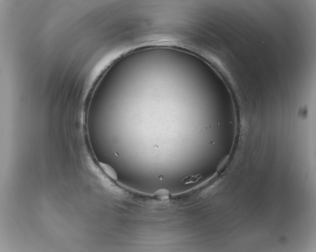 X0000111791424200907301134