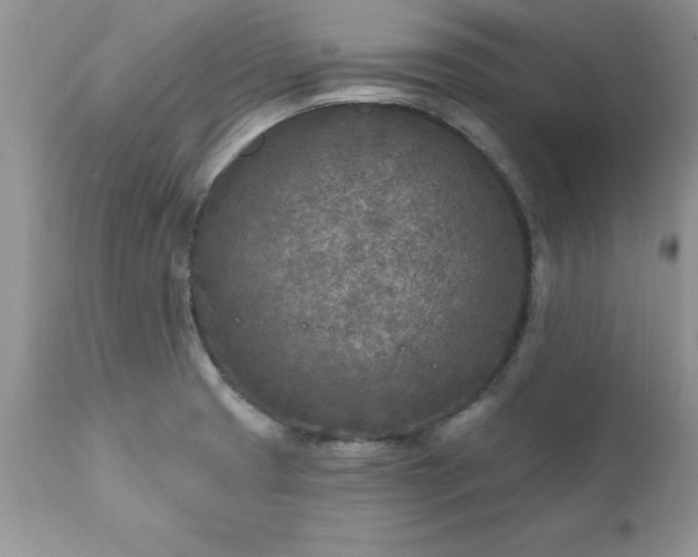 X0000111791425200907301135