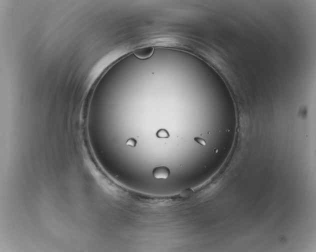 X0000111791426200907301135