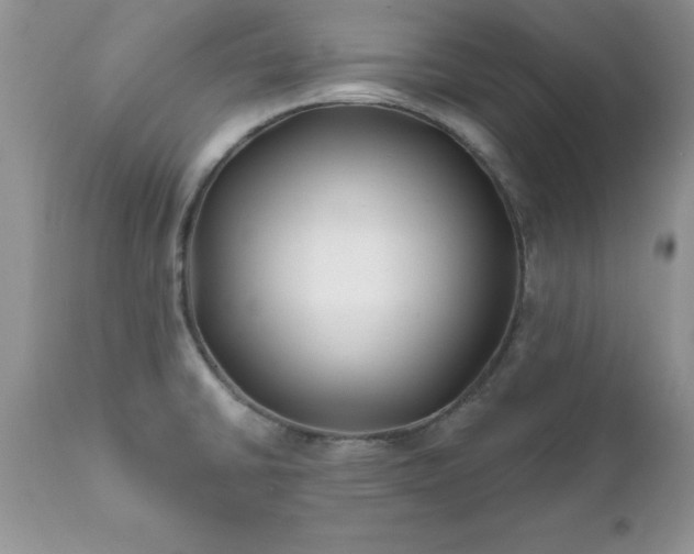 X0000111791430200907301135