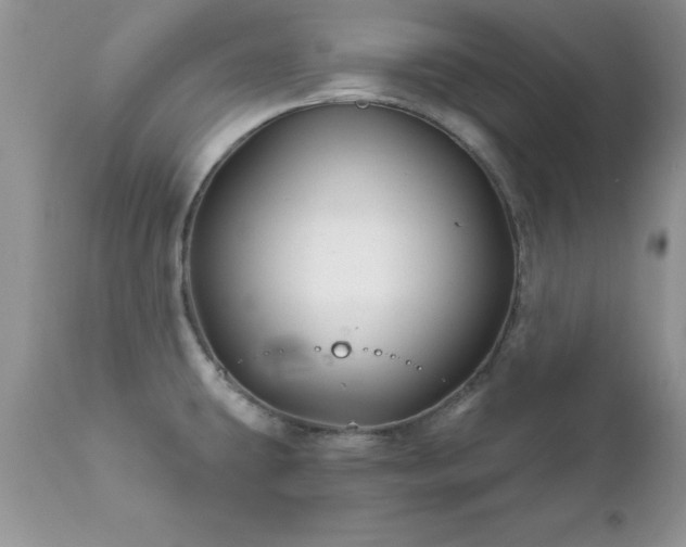 X0000111791431200907301135