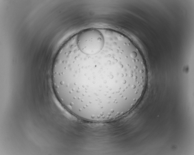 X0000111791432200907301135