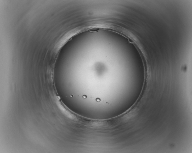 X0000111791433200907301135