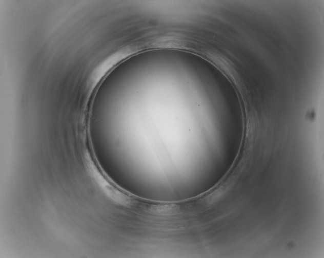 X0000111791434200907301135