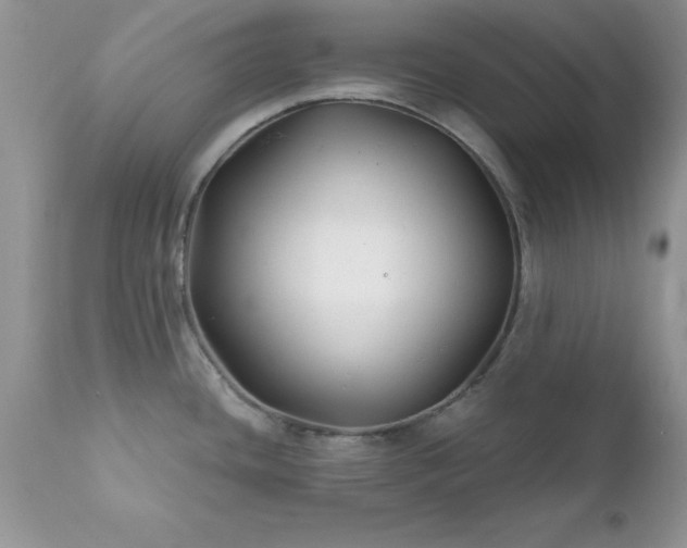 X0000111791436200907301135