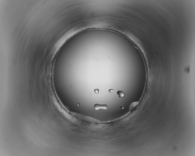 X0000111791437200907301135