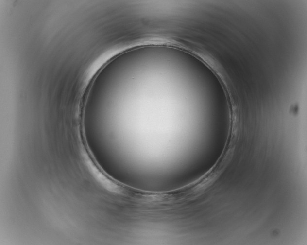 X0000111791438200907301135