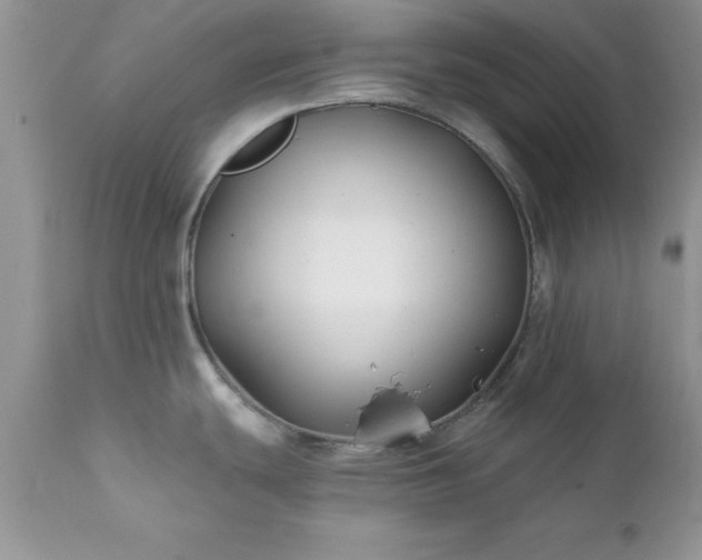 X0000111791439200907301135