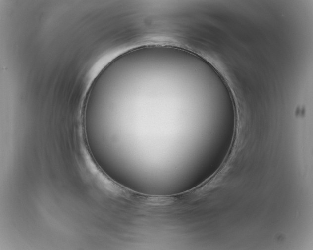 X0000111791440200907301135