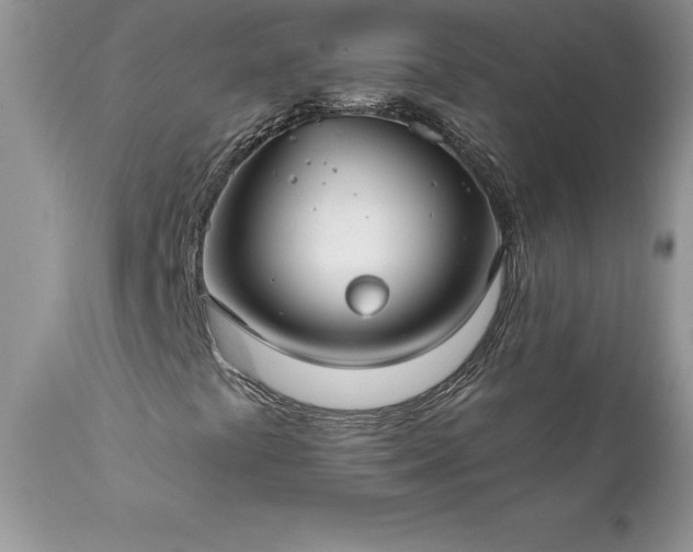 X0000111791441200907301134