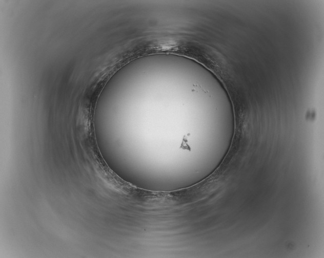 X0000111791442200907301134