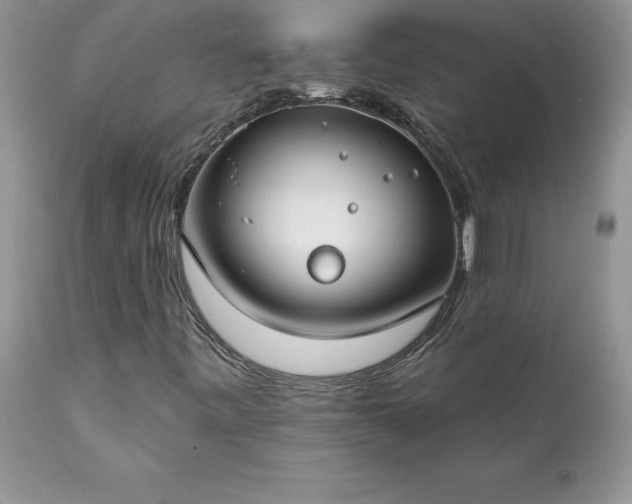 X0000111791443200907301134