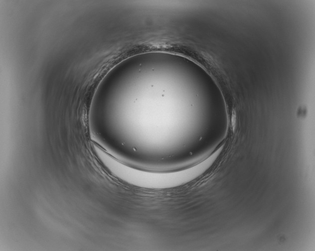 X0000111791444200907301134