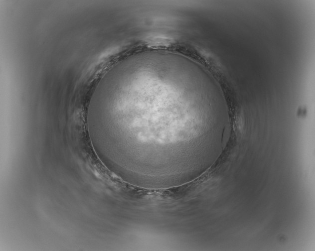 X0000111791445200907301134