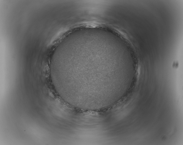 X0000111791446200907301134