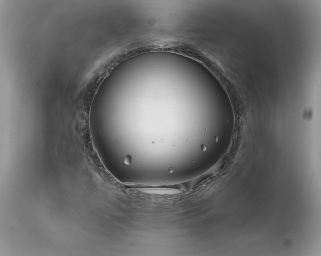 X0000111791447200907301134