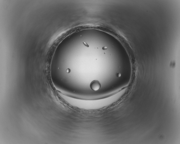 X0000111791448200907301134