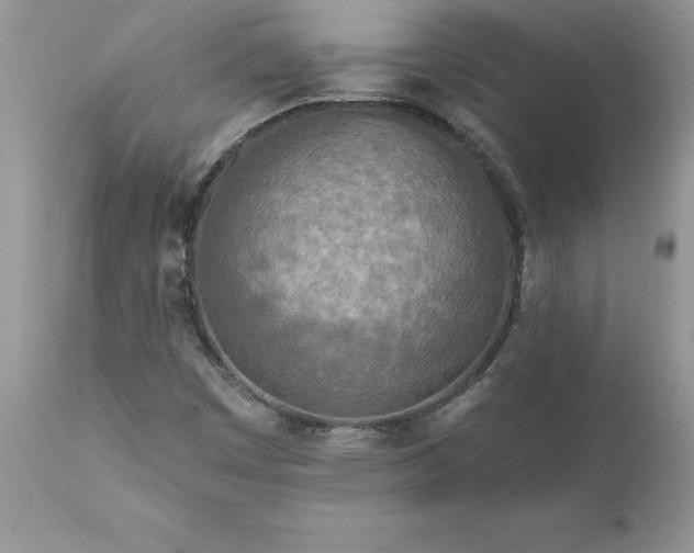 X0000111791449200907301134