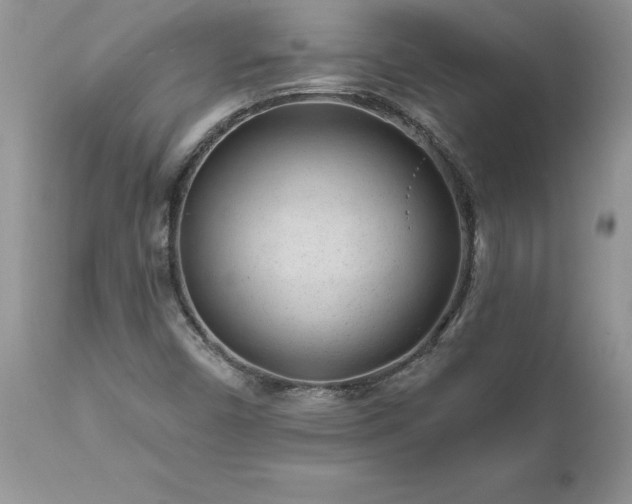 X0000111791450200907301134