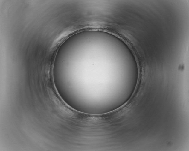 X0000111791451200907301134