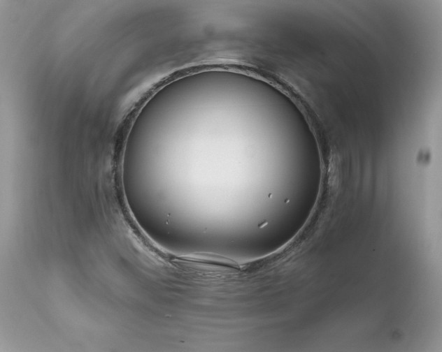 X0000111791452200907301134