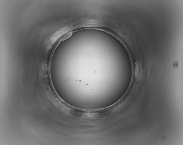 X0000111791453200907301134